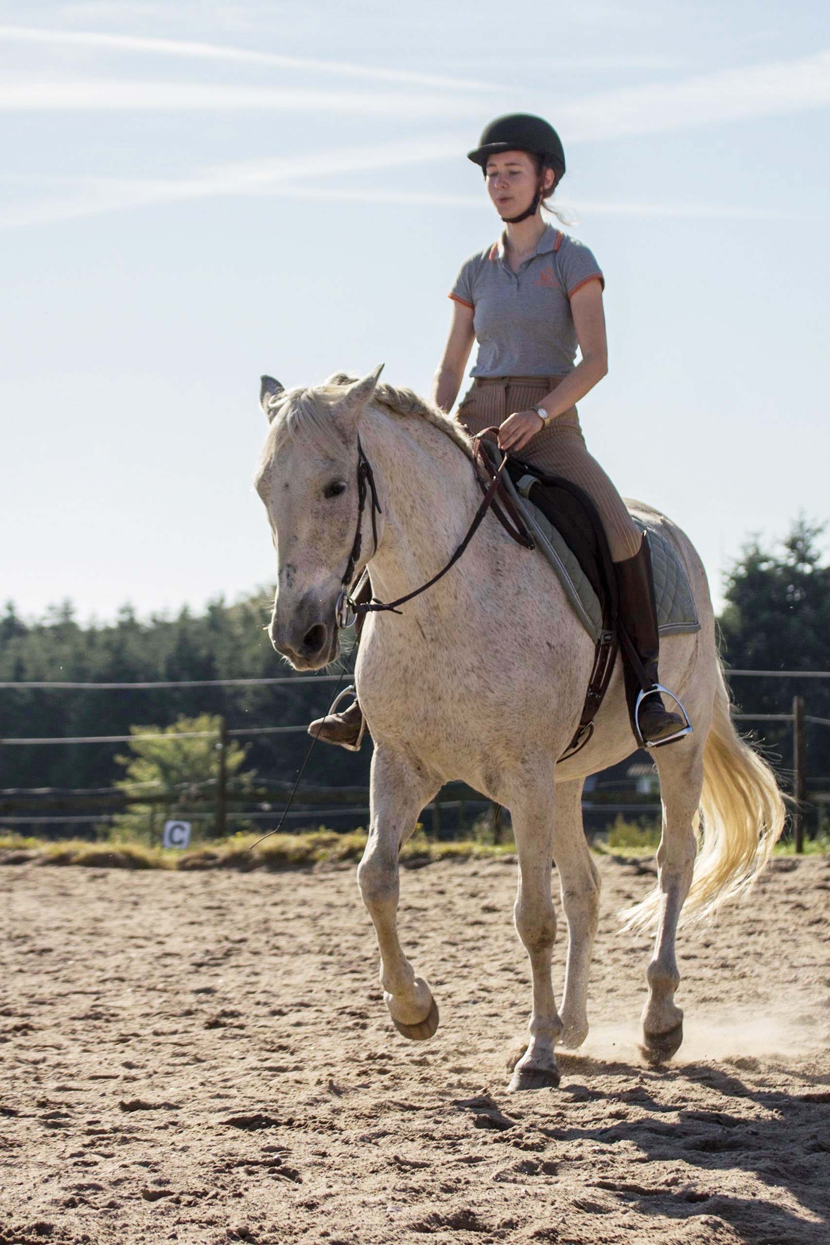 ellen sauer, undervisning, stald rygaard, dressur, spansk hest